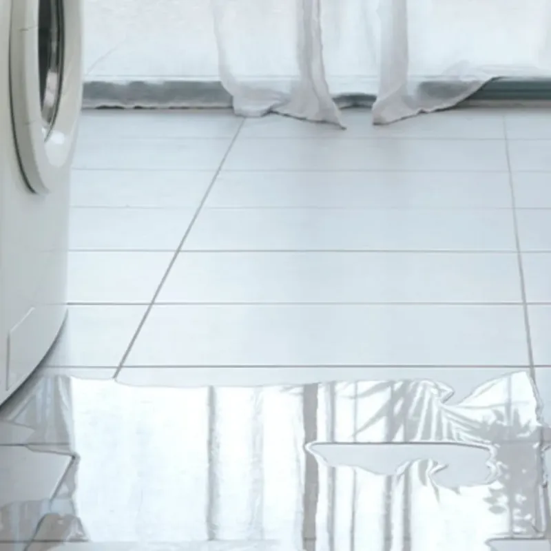 Appliance Leak Cleanup in Bremerton, WA